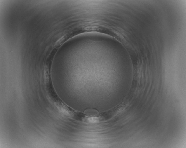 X0000067840228200604171201