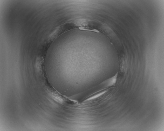 X0000067840229200604171201