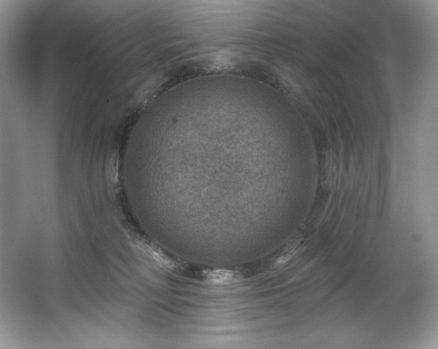 X0000067840230200604171201