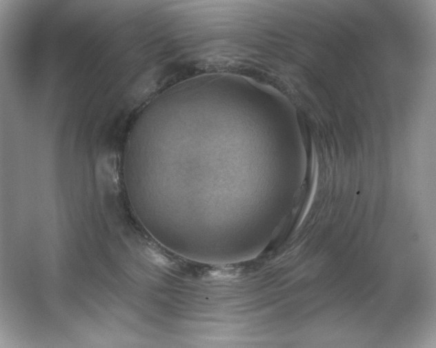 X0000067840232200604171201