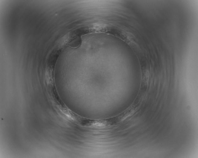 X0000067840236200604171201