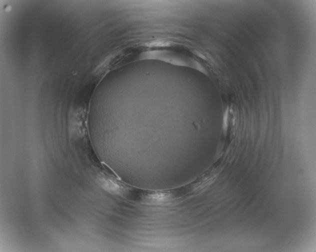 X0000067840237200604171201