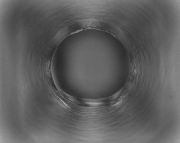 X0000067840239200604171201