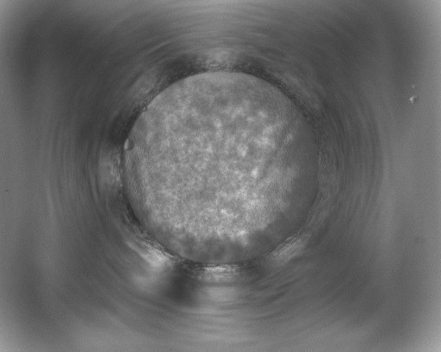 X0000067840240200604171201