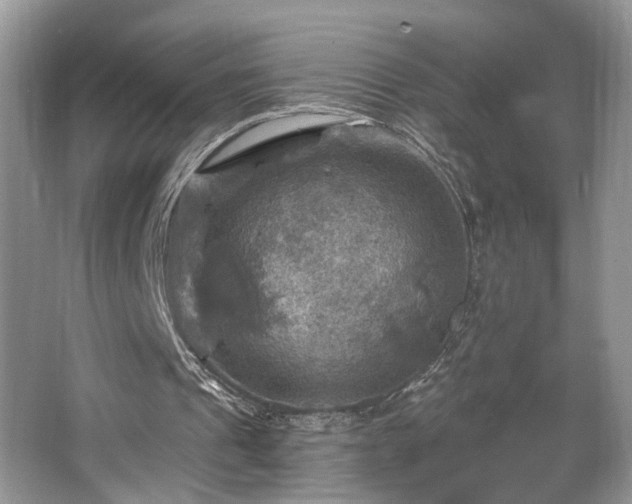 X0000067840241200604171200