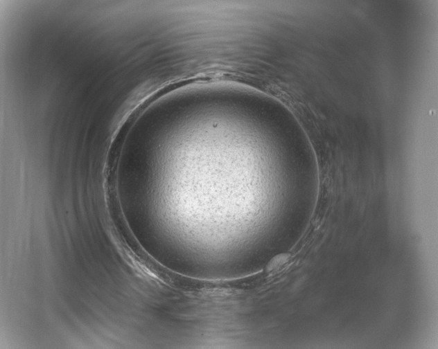 X0000067840242200604171200