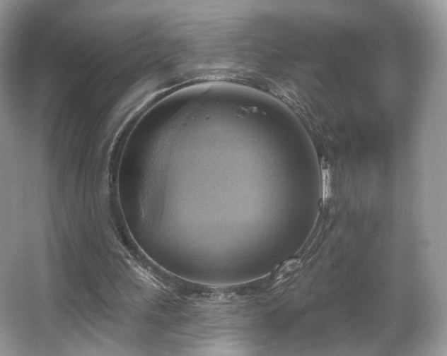 X0000067840243200604171200