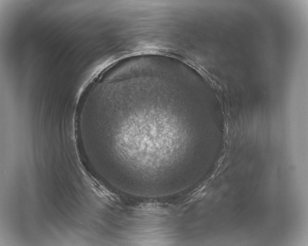 X0000067840244200604171200