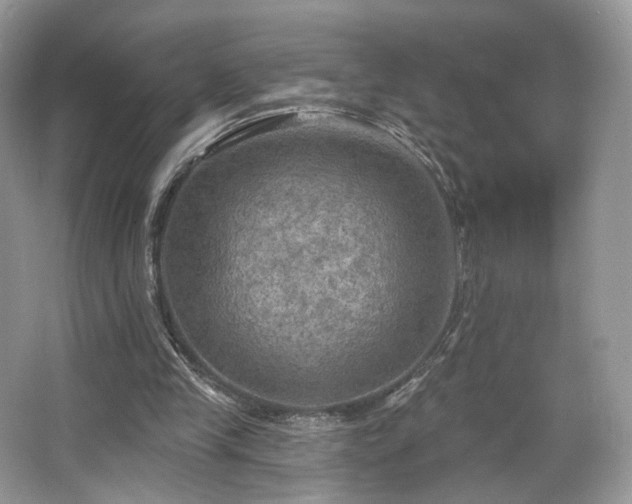 X0000067840245200604171200