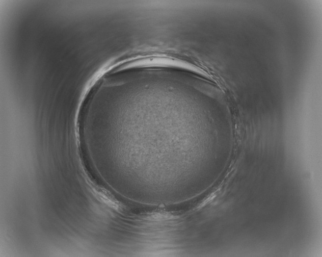 X0000067840246200604171200