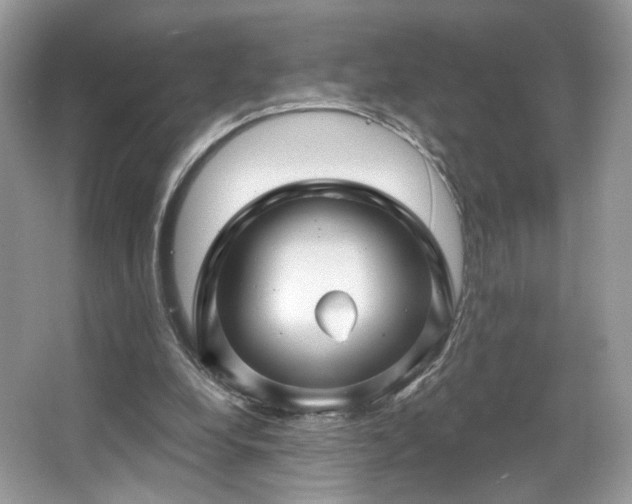 X0000067840248200604171200