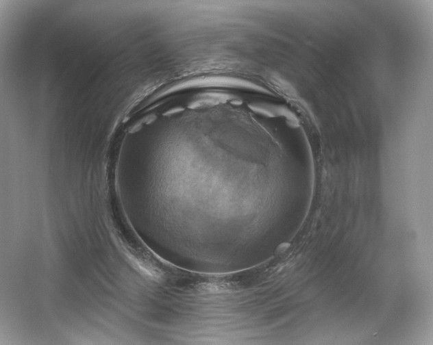 X0000067840250200604171200