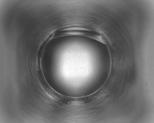 X0000067840251200604171200