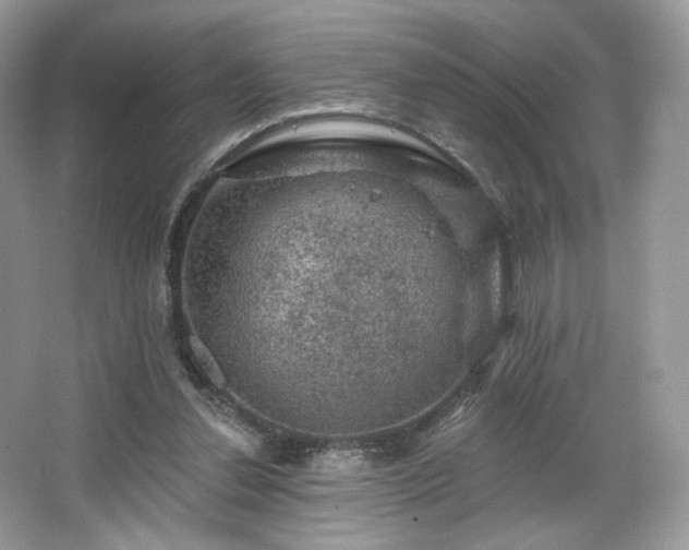 X0000067840252200604171200