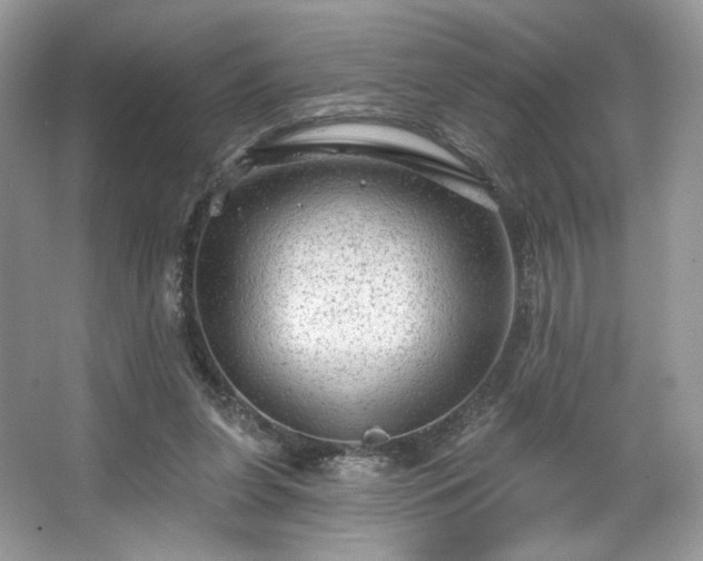 X0000067840255200604171200