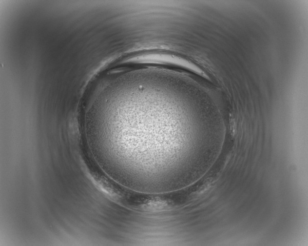 X0000067840256200604171200