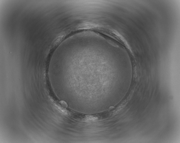 X0000067840257200604171200