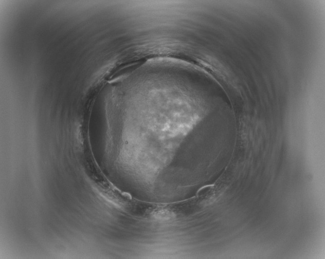 X0000067840258200604171200