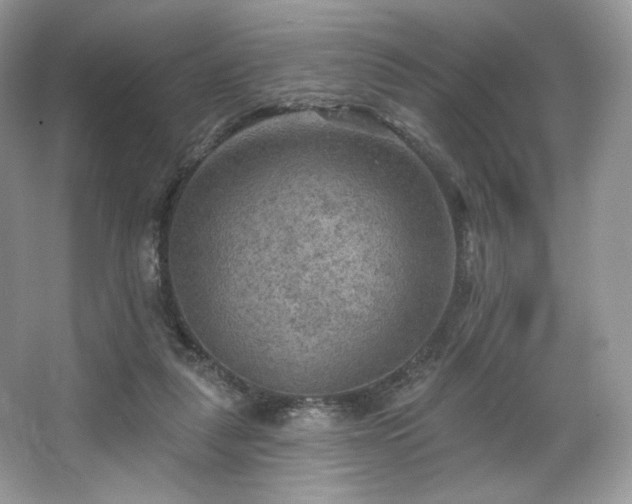 X0000067840259200604171200