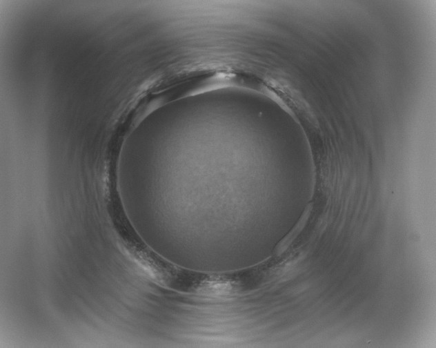 X0000067840260200604171200