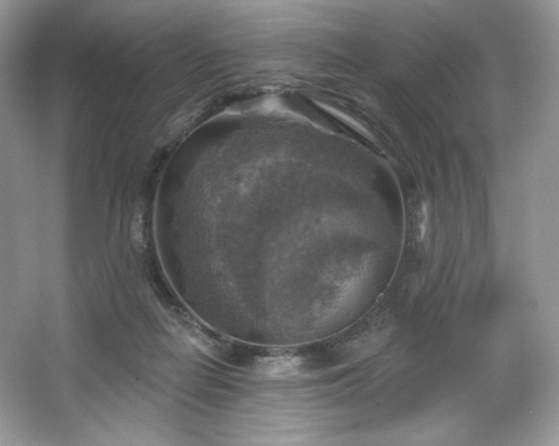 X0000067840266200604171200