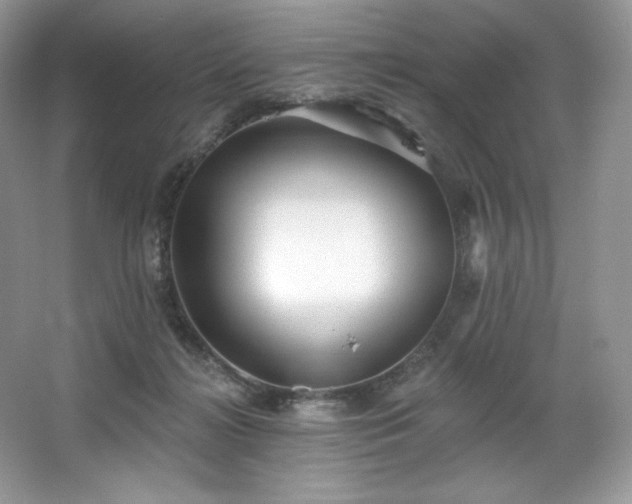 X0000067840268200604171200