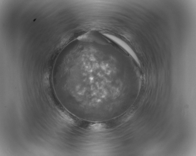 X0000067840269200604171200