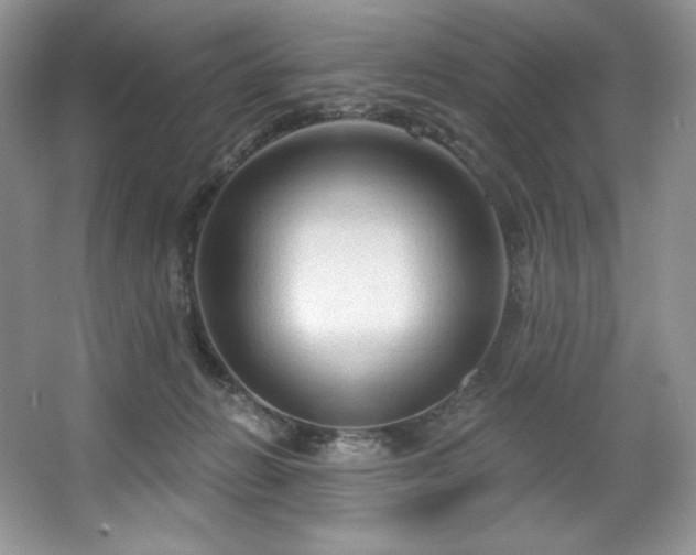 X0000067840270200604171200