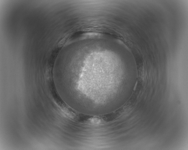 X0000067840272200604171200