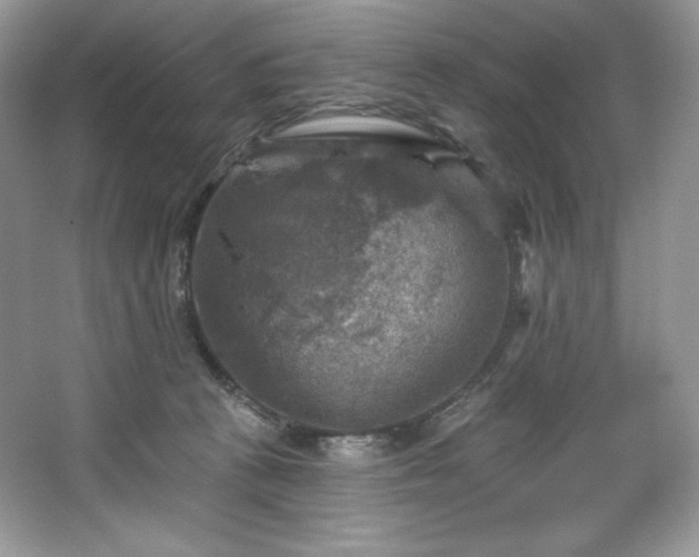 X0000067840273200604171200