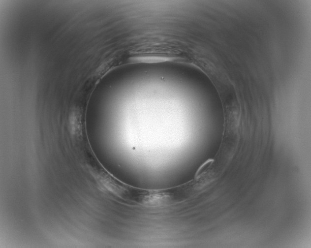 X0000067840274200604171200