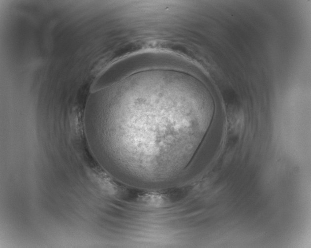 X0000067840276200604171200