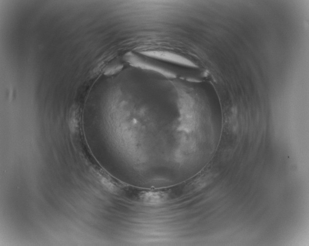 X0000067840277200604171200