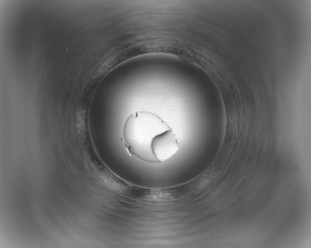 X0000067840278200604171200