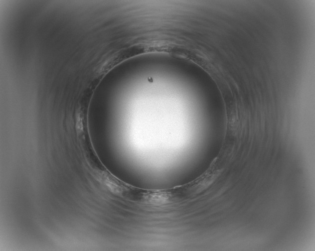 X0000067840282200604171201