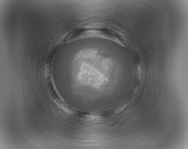 X0000067840284200604171201