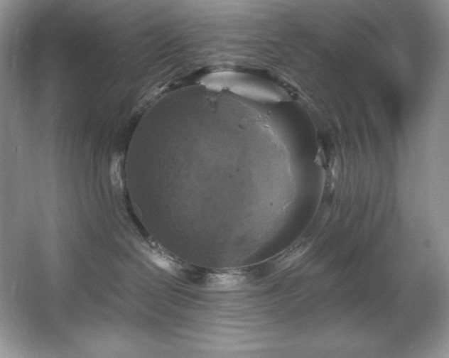 X0000067840286200604171201