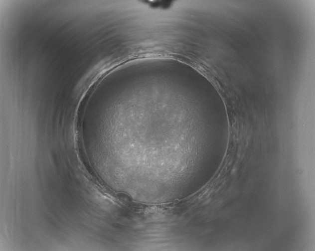 X0000067840290200604171200