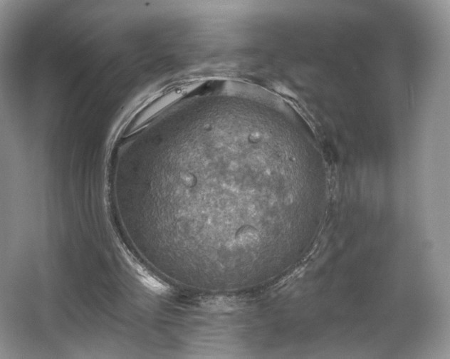 X0000067840293200604171200