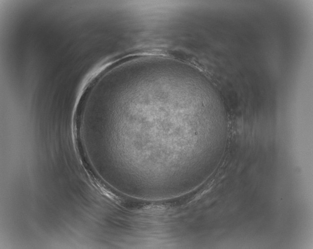 X0000067840294200604171200