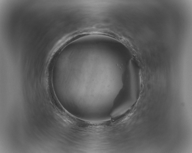 X0000067840295200604171200