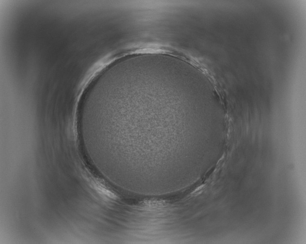 X0000067840296200604171200