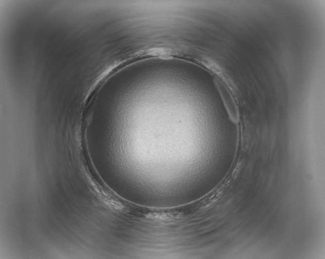 X0000067840297200604171200