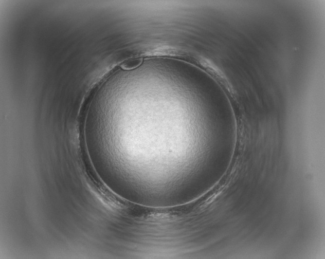 X0000067840298200604171200