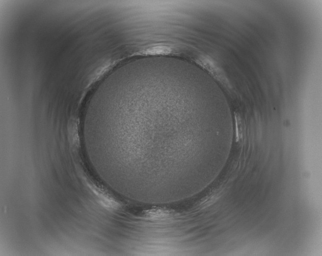 X0000067840300200604171200