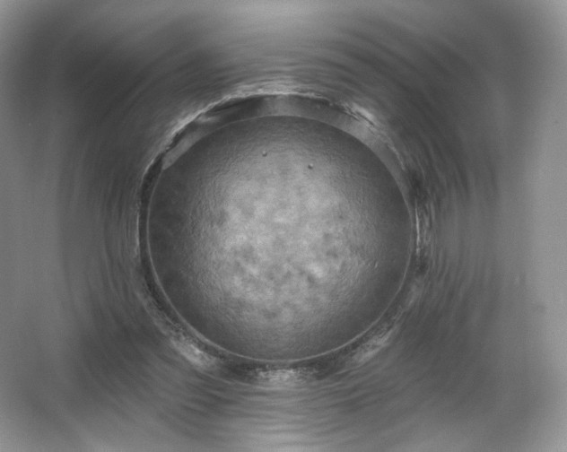 X0000067840301200604171200