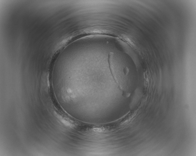 X0000067840302200604171200