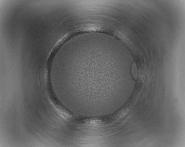 X0000067840304200604171200