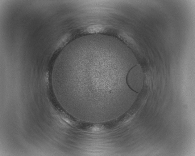 X0000067840308200604171159