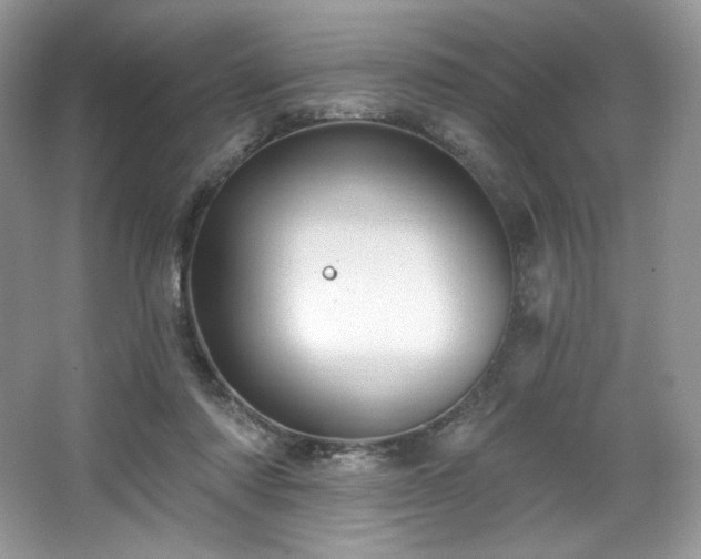 X0000067840310200604171159